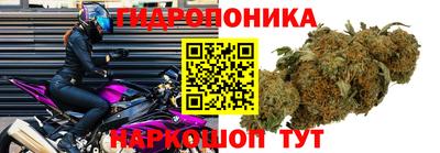 каннабис Тула