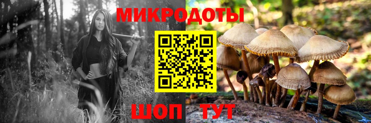 как найти наркотики  Псилоцибиновые грибы GOLDEN TEACHER  Набережные Челны  Вход с VPN  Галлюциногенные грибы Magic Shrooms 